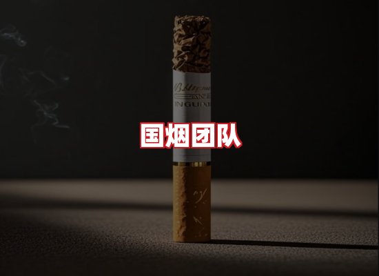 国烟团队